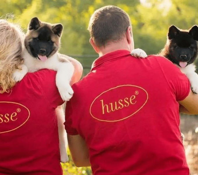 ERP CRM Facturation Gestan chez Husse